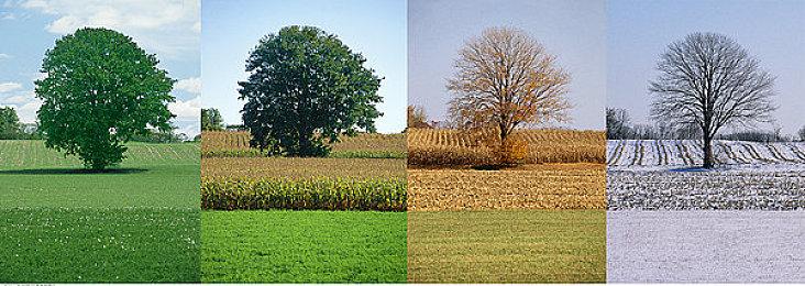 《辐射》推出官方授权桌游 现已开启预购